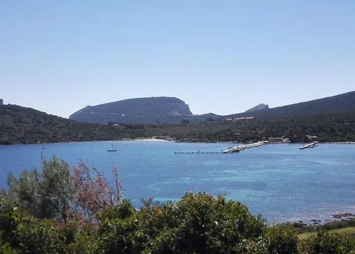 Pa Blanc Daire Alghero